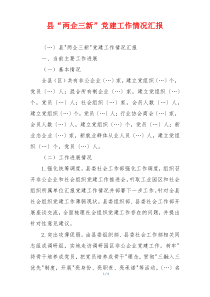县“两企三新”党建工作情况汇报