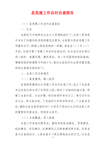县党建工作自纠自查报告
