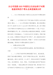 分公司党委2025年度民主生活会班子对照检查材料四个带头含典型案例分析
