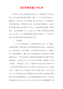 县区两新党建工作汇报