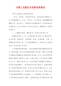分管工业副区长述职述责报告