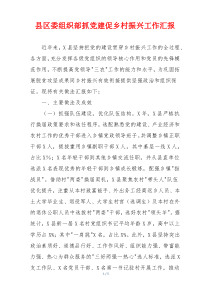 县区委组织部抓党建促乡村振兴工作汇报