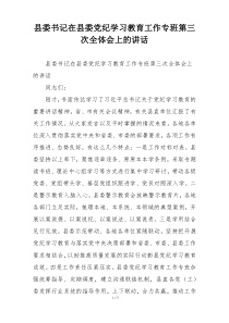 县委书记在县委党纪学习教育工作专班第三次全体会上的讲话