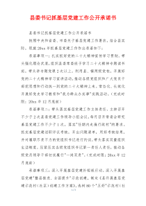 县委书记抓基层党建工作公开承诺书