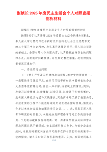 副镇长2025年度民主生活会个人对照查摆剖析材料