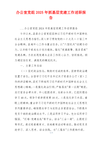办公室党组2025年抓基层党建工作述职报告