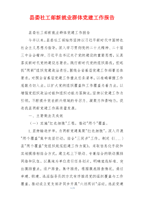 县委社工部新就业群体党建工作报告