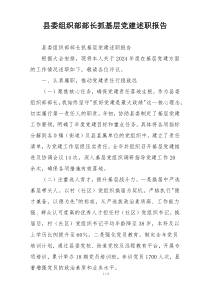 县委组织部部长抓基层党建述职报告