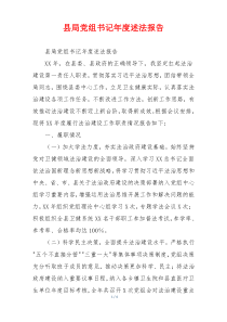 县局党组书记年度述法报告