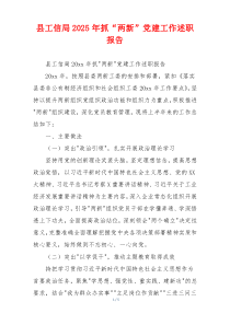县工信局2025年抓“两新”党建工作述职报告