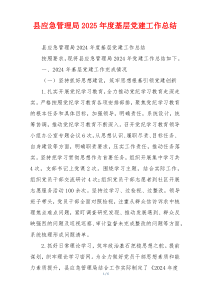 县应急管理局2025年度基层党建工作总结