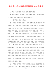 县政府办公室党组书记基层党建述职报告