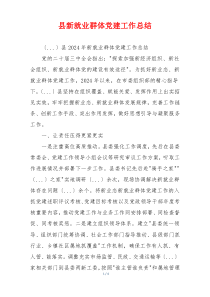 县新就业群体党建工作总结