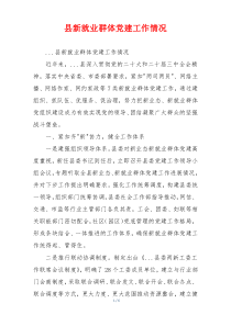 县新就业群体党建工作情况
