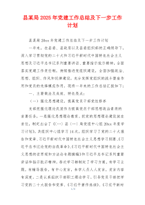 县某局2025年党建工作总结及下一步工作计划