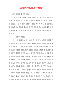 县民政局党建工作总结