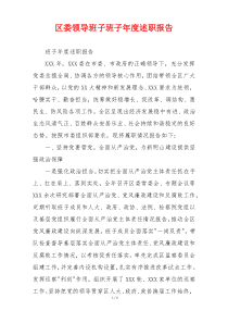 区委领导班子班子年度述职报告