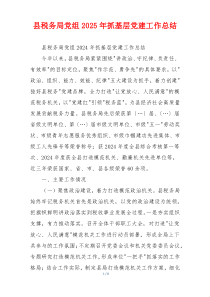 县税务局党组2025年抓基层党建工作总结
