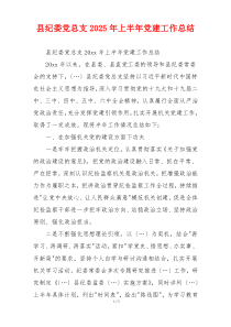 县纪委党总支2025年上半年党建工作总结