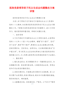 医院党委领导班子民主生活会问题整改方案详情