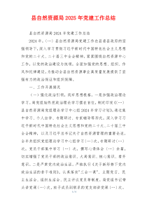县自然资源局2025年党建工作总结