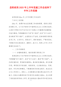 县财政局2025年上半年党建工作总结和下半年工作思路