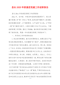 县长2025年抓基层党建工作述职报告