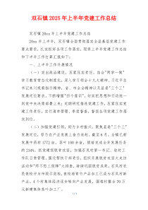 双石镇2025年上半年党建工作总结
