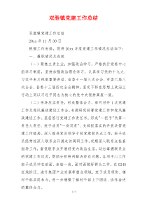 双胜镇党建工作总结
