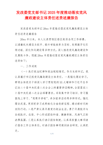 发改委党支部书记2025年度推动落实党风廉政建设主体责任述责述廉报告