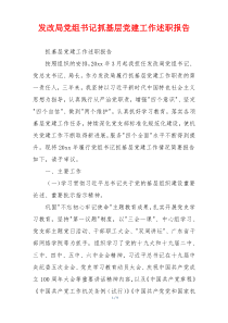 发改局党组书记抓基层党建工作述职报告