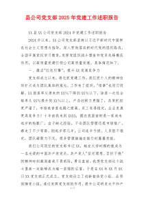 县公司党支部2025年党建工作述职报告