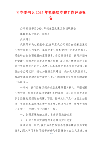 司党委书记2025年抓基层党建工作述职报告