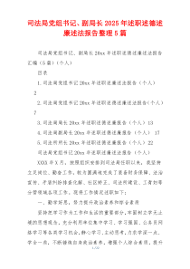 司法局党组书记、副局长2025年述职述德述廉述法报告整理5篇