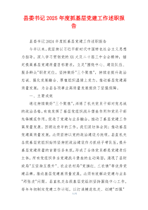 县委书记2025年度抓基层党建工作述职报告