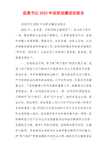 县委书记202X年述职述廉述法报告