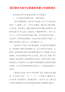 团区委党支部书记抓基层党建工作述职报告