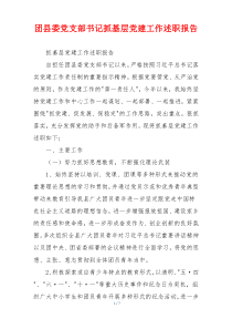 团县委党支部书记抓基层党建工作述职报告