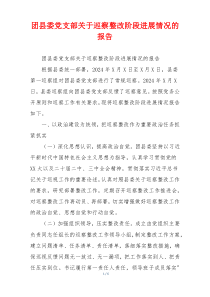 团县委党支部关于巡察整改阶段进展情况的报告