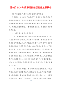 团市委2025年度书记抓基层党建述职报告
