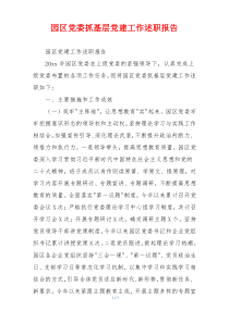 园区党委抓基层党建工作述职报告