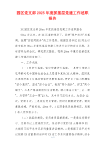 园区党支部2025年度抓基层党建工作述职报告
