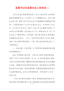 县委书记在县委全会上的讲话 1