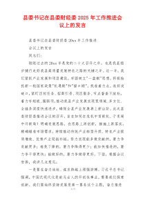 县委书记在县委财经委2025年工作推进会议上的发言