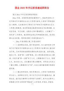 国企2025年书记抓党建述职报告