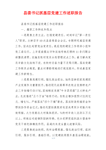 县委书记抓基层党建工作述职报告