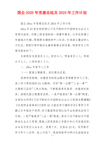 国企2025年党建总结及2025年工作计划