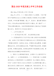 国企2025年党支部上半年工作总结
