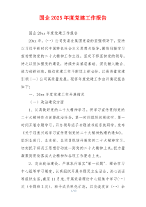 国企2025年度党建工作报告