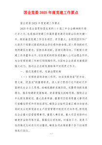 国企党委2025年度党建工作要点